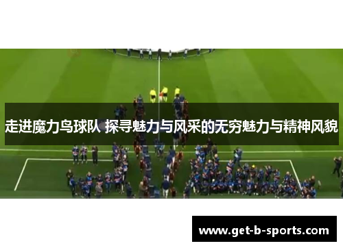 走进魔力鸟球队 探寻魅力与风采的无穷魅力与精神风貌 走进魔力鸟球队 探寻魅力与风采的无穷魅力与精神风貌
