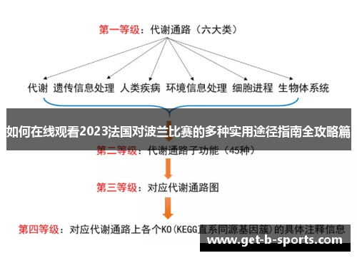 如何在线观看2023法国对波兰比赛的多种实用途径指南全攻略篇 如何在线观看2023法国对波兰比赛的多种实用途径指南全攻略篇