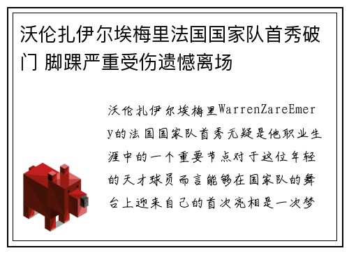 沃伦扎伊尔埃梅里法国国家队首秀破门 脚踝严重受伤遗憾离场